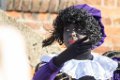 Intocht Sint 2018 07